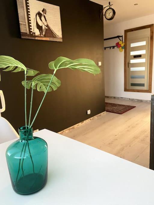 San Riverbank Apartment Přemyšl Exteriér fotografie